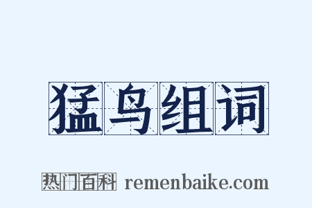 猛鸟组词是什么意思的图片